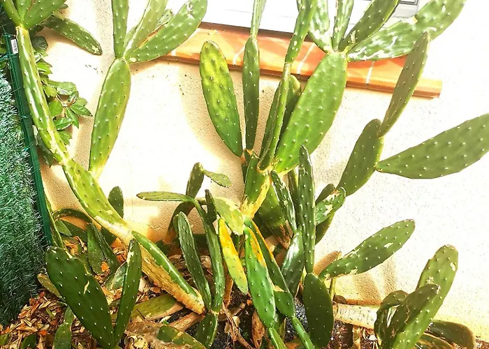 Appartement Escale Marine Saint-Jory